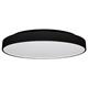 Deckenleuchte LED Core Trim 29W 3000K schwarz  230V 2100lm CRI80 D=350 H=52mm IP54