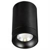 Deckenstrahler Tube Outdoor 36° starr silberfarbig  240V/ 9.2W 3000K 883Lm D=75 H=124 IP65