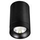 Deckenstrahler Tube Outdoor 36° starr weiss matt  240V/ 9.2W 3000K 883Lm D=75 H=124 / IP65