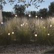 Gartenleuchte Pois 3.2W schwarz opal  240V/ 3000K 410Lm D=8cm H=158cm / IP65 | Bild 6