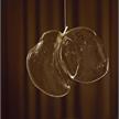 Pendeleuchte 141.3 / 3x2W Gläser transparent  230V /12V DC CCT 2500K 250-380mm / IP40 | Bild 3