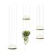 Pendelleuchte Palma LED 2x4.6W 27K grafit matt  230V / 868lm dimmbar 1-10V,Push