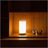 Tischleuchte Bugia LED 2W Methacrylat matt  4,8V Akku 3000K 120lm D=110 H=225mm IP20