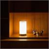 Tischleuchte Bugia LED 2W Methacrylat matt  4,8V Akku 3000K 120lm D=110 H=225mm IP20