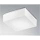 Wand-Deckenleuchte Cubi 28 LED 15W 3000°K Weiss  EVG L=28x28 H=10 / IP20