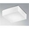 Wand-Deckenleuchte Cubi 28 LED 15W 3000°K Weiss  EVG L=28x28 H=10 / IP20